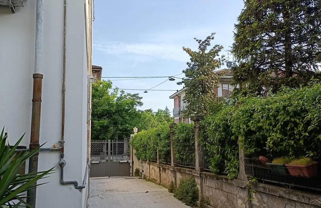 B&B Mavipagi-1