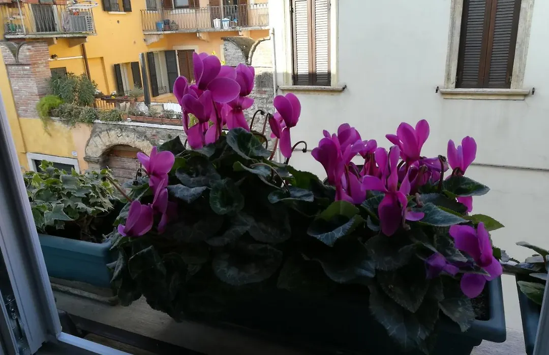 A Casa Di Luca-1