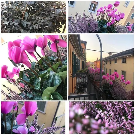Veronantica B&B-3
