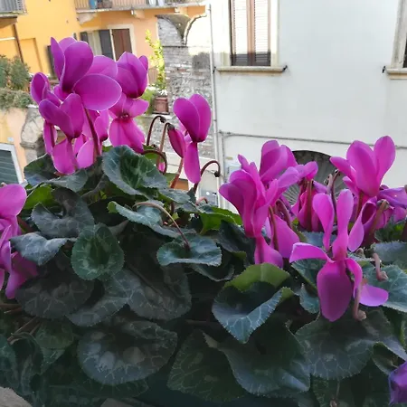 A Casa Di Luca-3